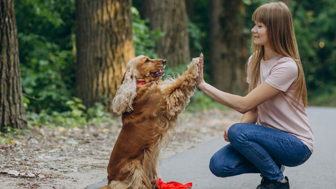 Every Pet has a Story.